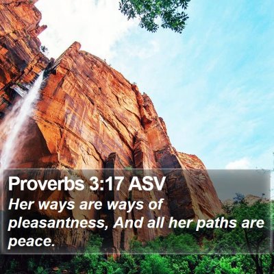 Proverbs 3:17 ASV Bible Verse Image