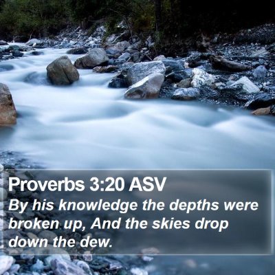 Proverbs 3:20 ASV Bible Verse Image