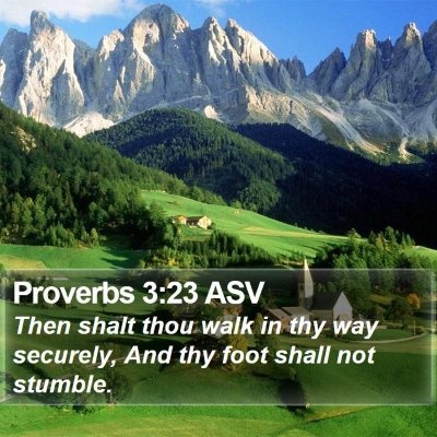 Proverbs 3:23 ASV Bible Verse Image