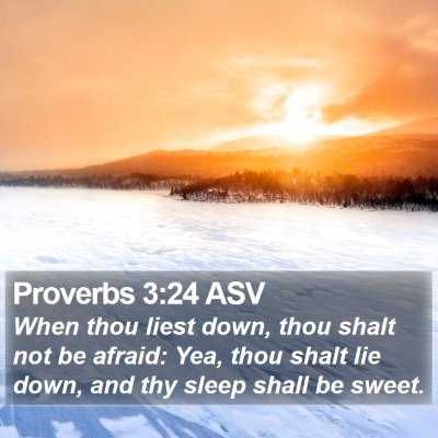 Proverbs 3:24 ASV Bible Verse Image