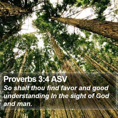 Proverbs 3:4 ASV Bible Verse Image
