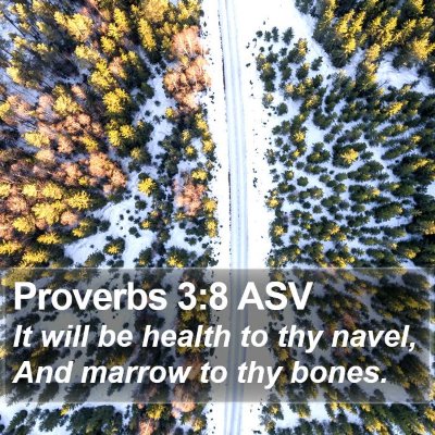 Proverbs 3:8 ASV Bible Verse Image