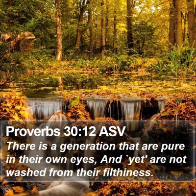 Proverbs 30:12 ASV Bible Verse Image