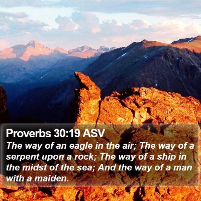 Proverbs 30:19 ASV Bible Verse Image