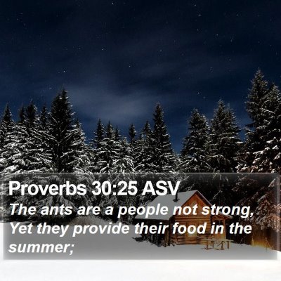 Proverbs 30:25 ASV Bible Verse Image