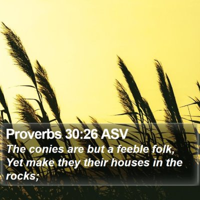 Proverbs 30:26 ASV Bible Verse Image