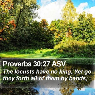 Proverbs 30:27 ASV Bible Verse Image