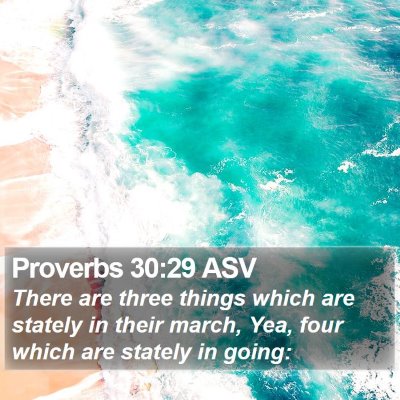 Proverbs 30:29 ASV Bible Verse Image