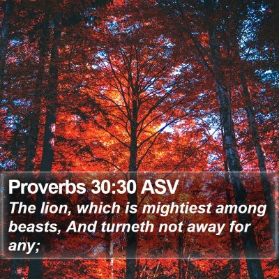 Proverbs 30:30 ASV Bible Verse Image