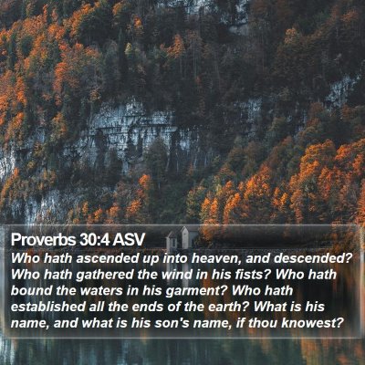 Proverbs 30:4 ASV Bible Verse Image