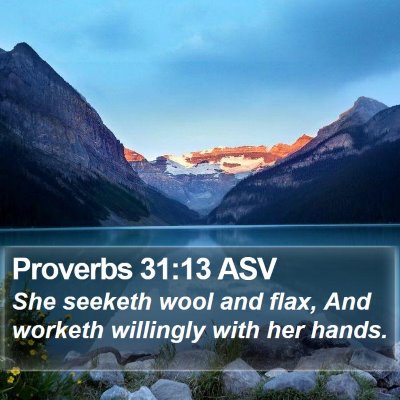 Proverbs 31:13 ASV Bible Verse Image