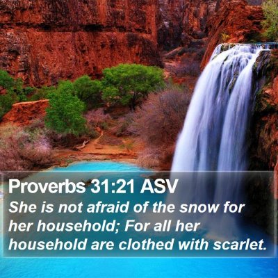 Proverbs 31:21 ASV Bible Verse Image