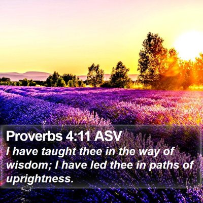 Proverbs 4:11 ASV Bible Verse Image