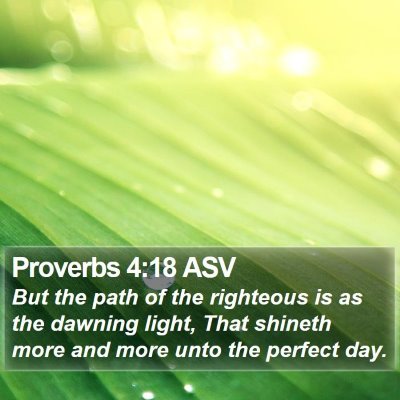 Proverbs 4:18 ASV Bible Verse Image