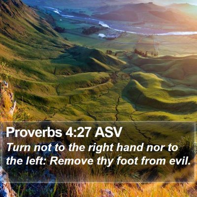 Proverbs 4:27 ASV Bible Verse Image