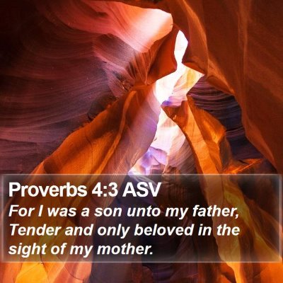 Proverbs 4:3 ASV Bible Verse Image