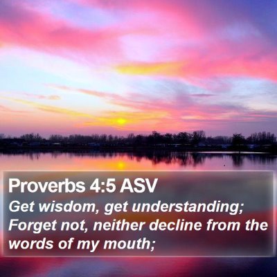 Proverbs 4:5 ASV Bible Verse Image