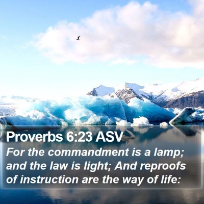 Proverbs 6:23 ASV Bible Verse Image