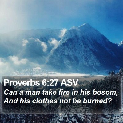Proverbs 6:27 ASV Bible Verse Image