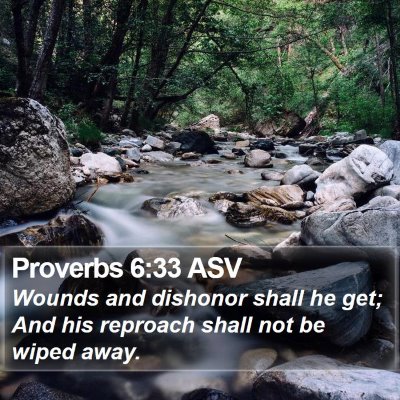 Proverbs 6:33 ASV Bible Verse Image