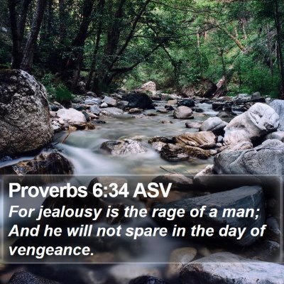 Proverbs 6:34 ASV Bible Verse Image