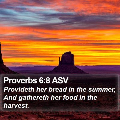 Proverbs 6:8 ASV Bible Verse Image