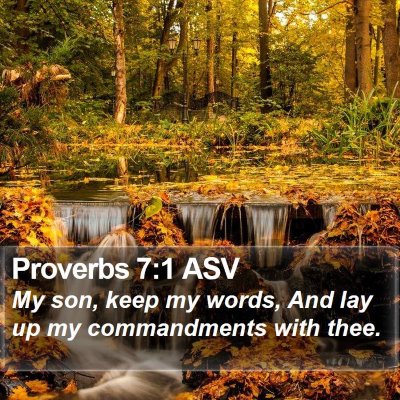Proverbs 7:1 ASV Bible Verse Image