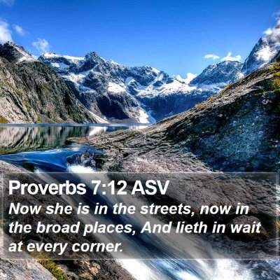 Proverbs 7:12 ASV Bible Verse Image