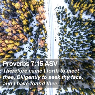 Proverbs 7:15 ASV Bible Verse Image