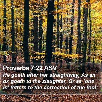 Proverbs 7:22 ASV Bible Verse Image