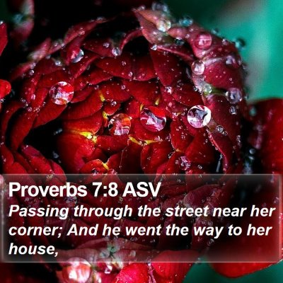 Proverbs 7:8 ASV Bible Verse Image