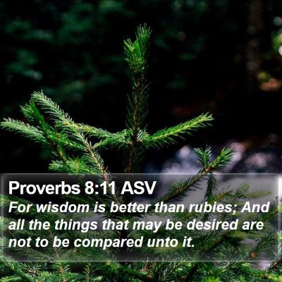 Proverbs 8:11 ASV Bible Verse Image