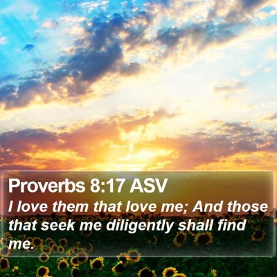 Proverbs 8:17 ASV Bible Verse Image