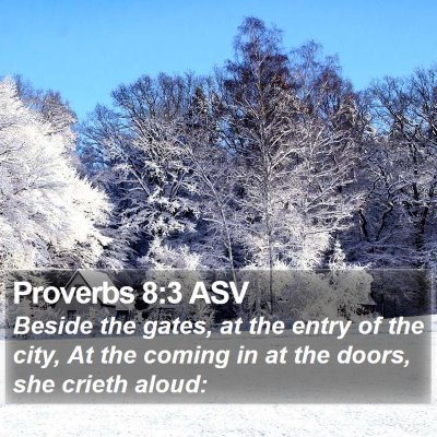 Proverbs 8:3 ASV Bible Verse Image
