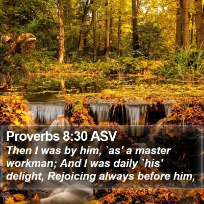 Proverbs 8:30 ASV Bible Verse Image
