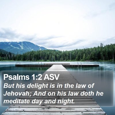 Psalms 1:2 ASV Bible Verse Image
