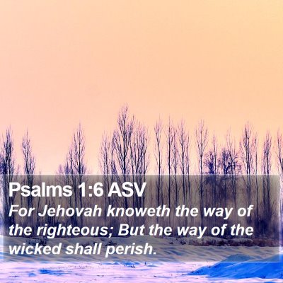 Psalms 1:6 ASV Bible Verse Image