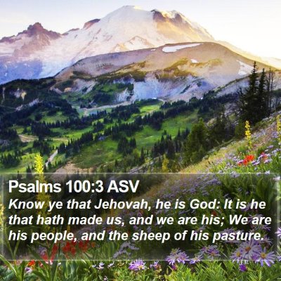 Psalms 100:3 ASV Bible Verse Image