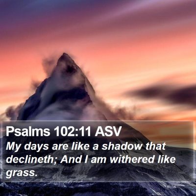Psalms 102:11 ASV Bible Verse Image