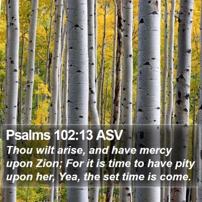 Psalms 102:13 ASV Bible Verse Image