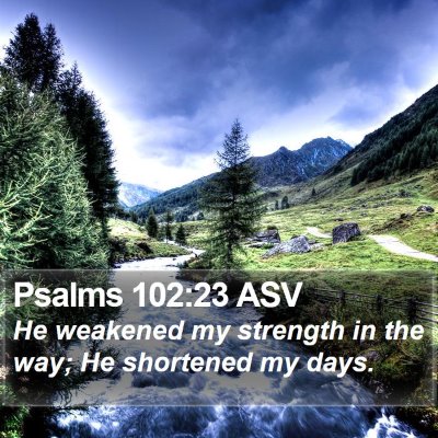 Psalms 102:23 ASV Bible Verse Image
