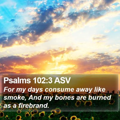 Psalms 102:3 ASV Bible Verse Image