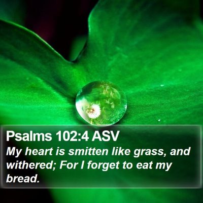 Psalms 102:4 ASV Bible Verse Image