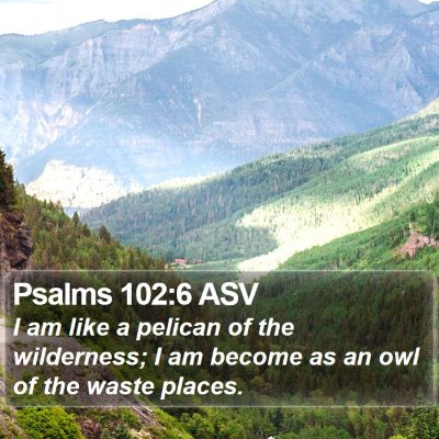 Psalms 102:6 ASV Bible Verse Image