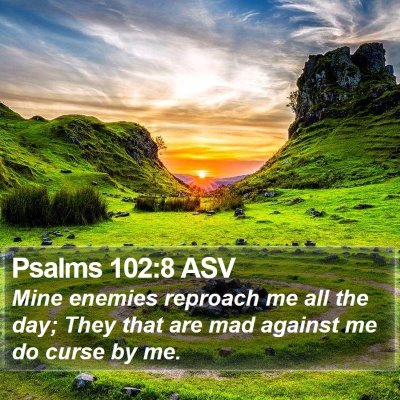 Psalms 102:8 ASV Bible Verse Image