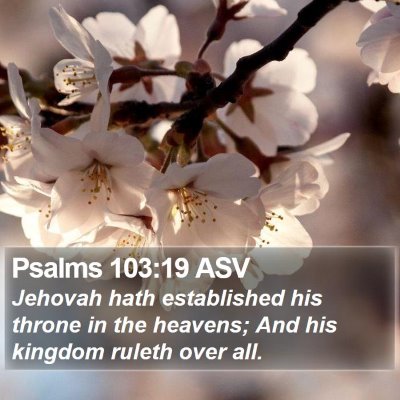 Psalms 103:19 ASV Bible Verse Image