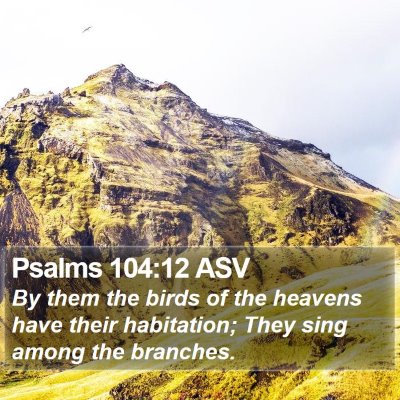 Psalms 104:12 ASV Bible Verse Image