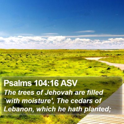 Psalms 104:16 ASV Bible Verse Image