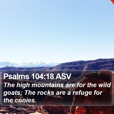 Psalms 104:18 ASV Bible Verse Image