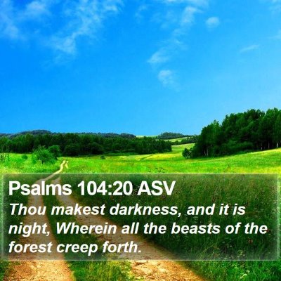 Psalms 104:20 ASV Bible Verse Image